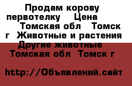 Продам корову (первотелку) › Цена ­ 45 000 - Томская обл., Томск г. Животные и растения » Другие животные   . Томская обл.,Томск г.